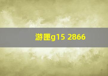 游匣g15 2866